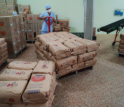 seleccion y limpieza