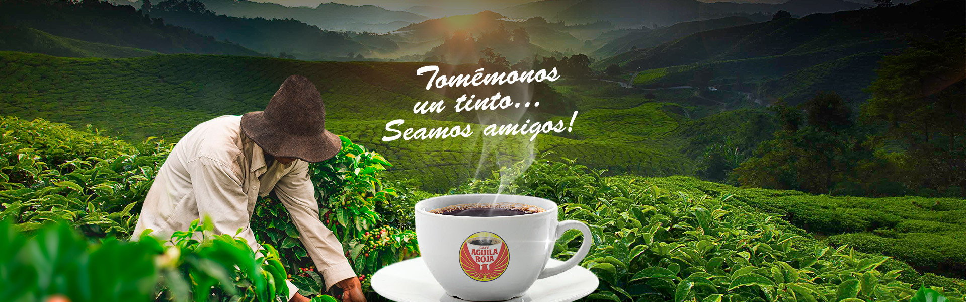 Aplicaci&oacute;n Graninostickers Aguila Roja